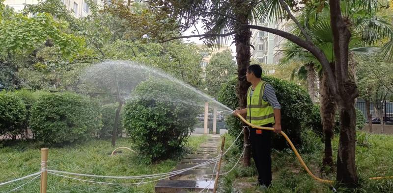 綠化養(yǎng)護8